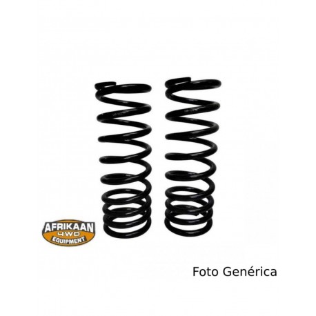 Pareja de muelles tras.reforzados altura original TERRANO II